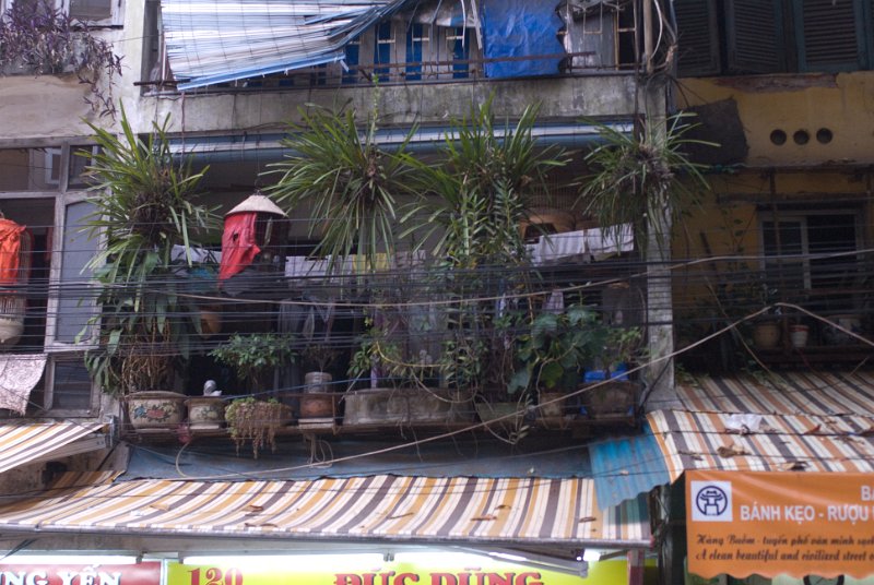 CHI_2093.jpg - hanoi - dicht bepflanzter balkon, die aussicht wird durch den kabelvorhang begrenzt